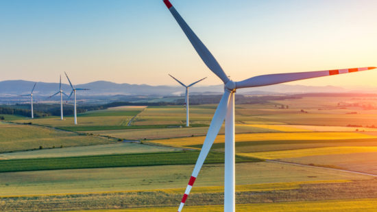 sunset above the windmills on the field