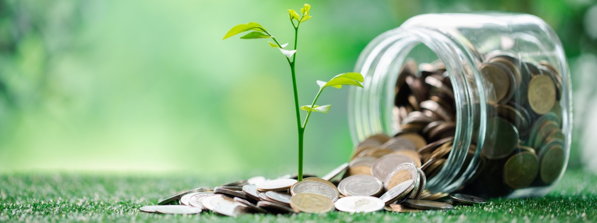 green finance